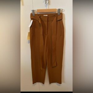 Aritzia pants